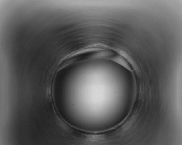 X0000088411281200705291442
