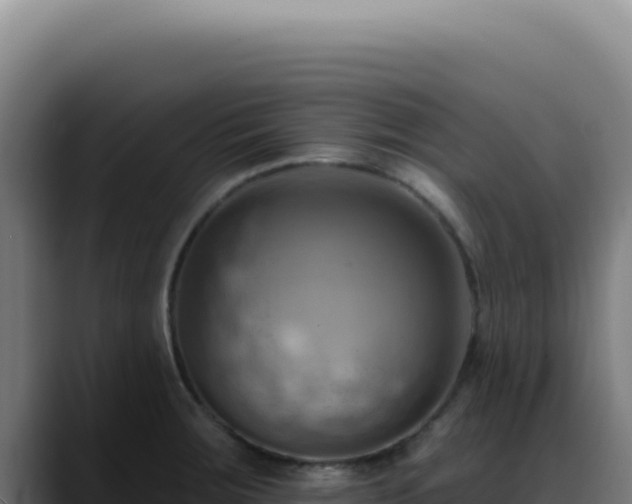 X0000088411283200705291441