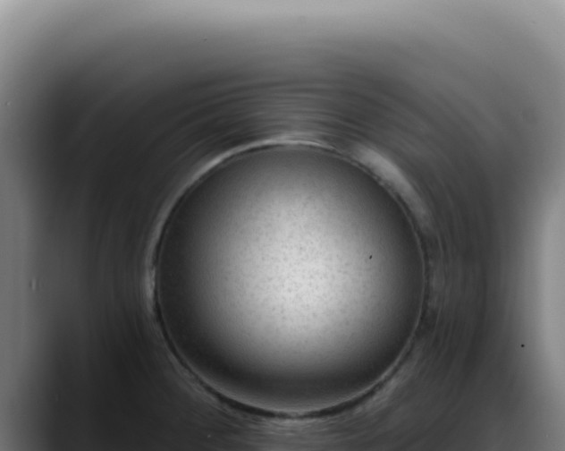 X0000088411284200705291441