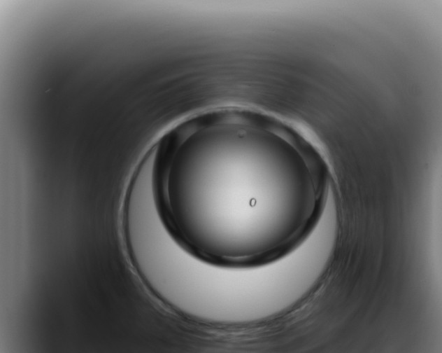 X0000088411287200705291441
