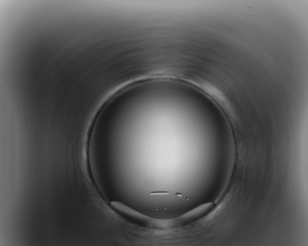 X0000088411288200705291441