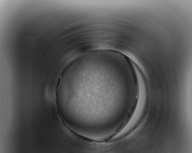 X0000088411289200705291441