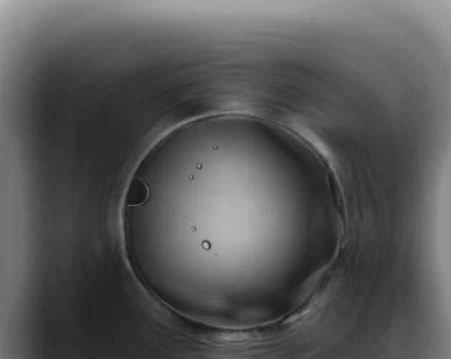 X0000088411291200705291441