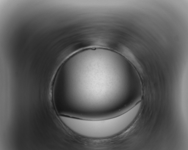 X0000088411292200705291441