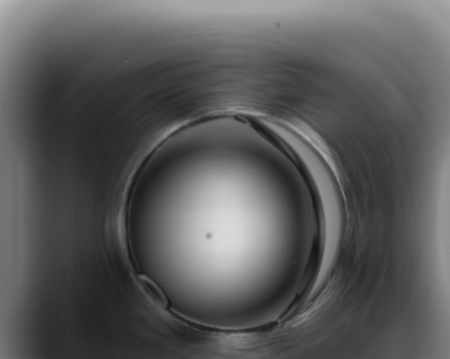 X0000088411293200705291441