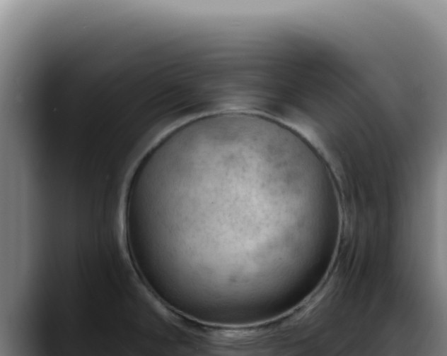 X0000088411294200705291441