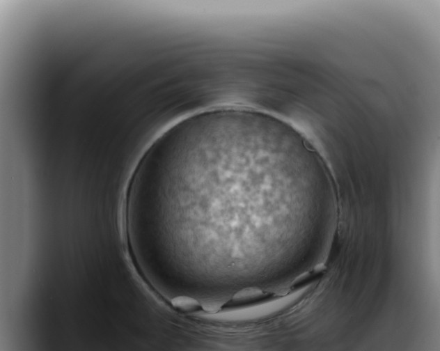 X0000088411295200705291441