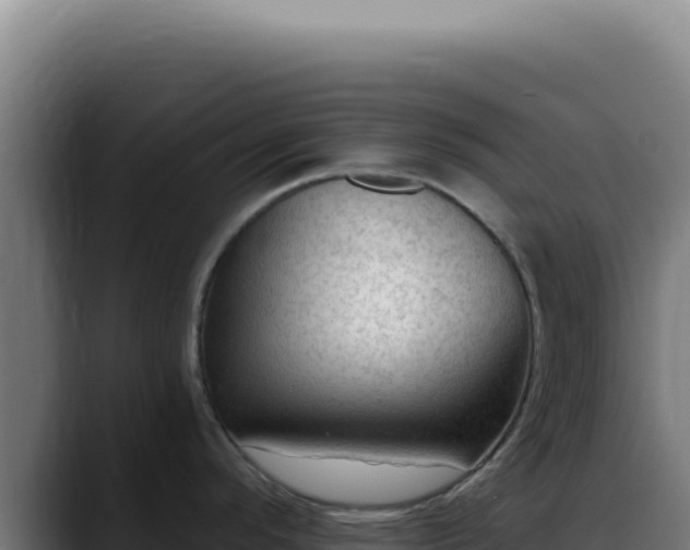 X0000088411296200705291441