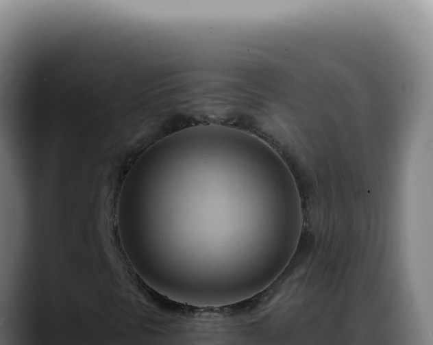 X0000088411297200705291441