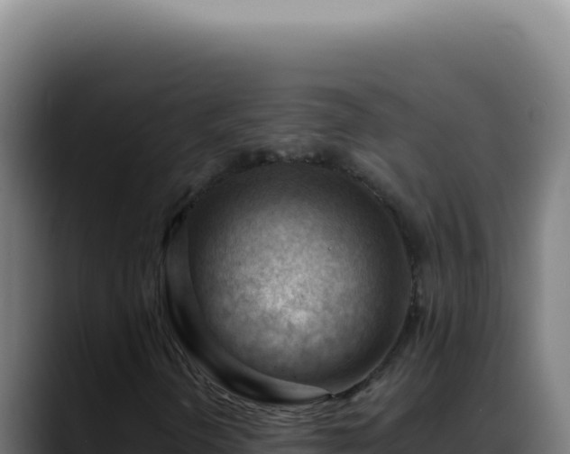 X0000088411298200705291441