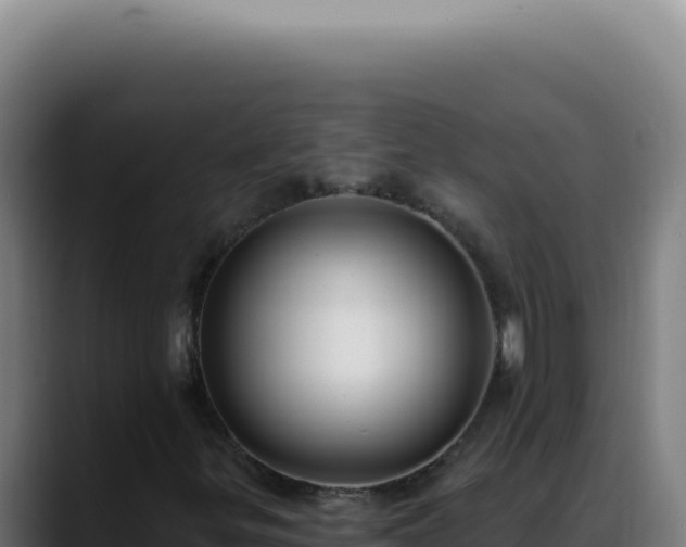 X0000088411299200705291441