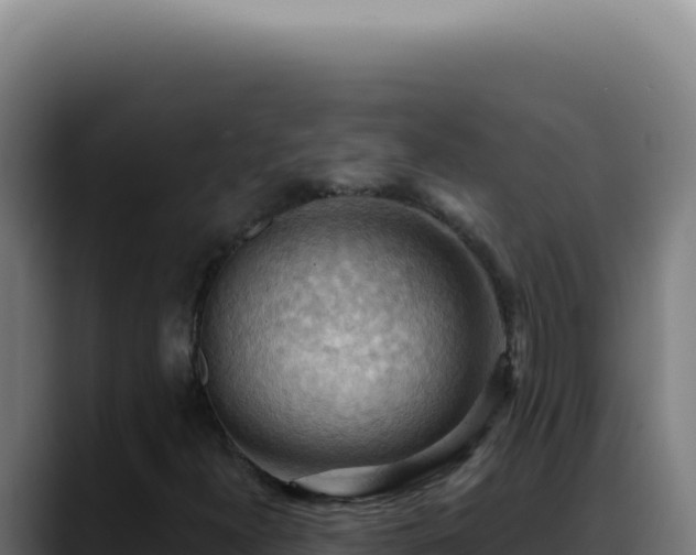 X0000088411300200705291441