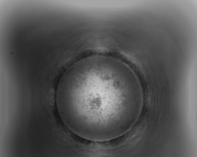 X0000088411301200705291441