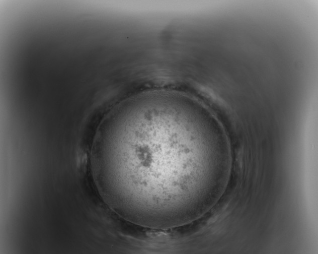 X0000088411302200705291441
