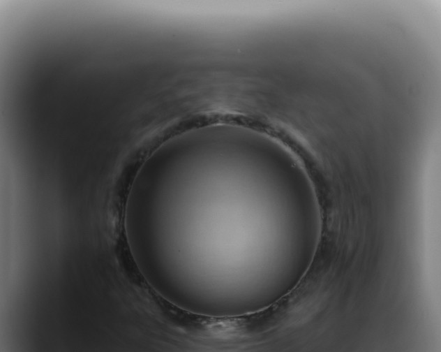 X0000088411303200705291441
