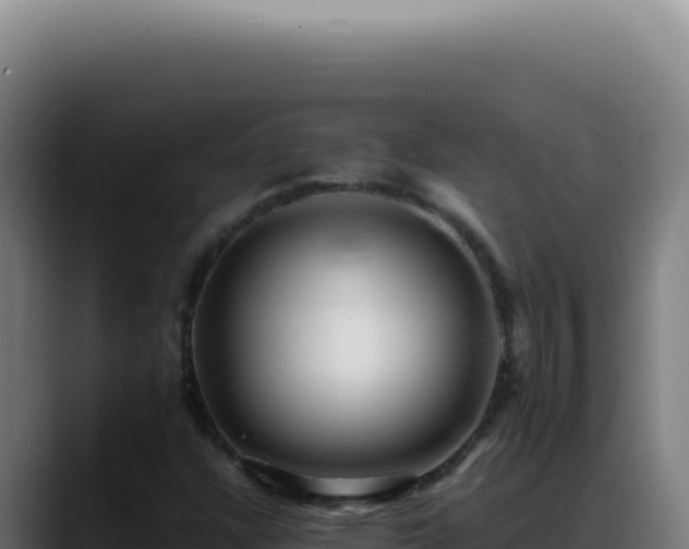X0000088411304200705291441