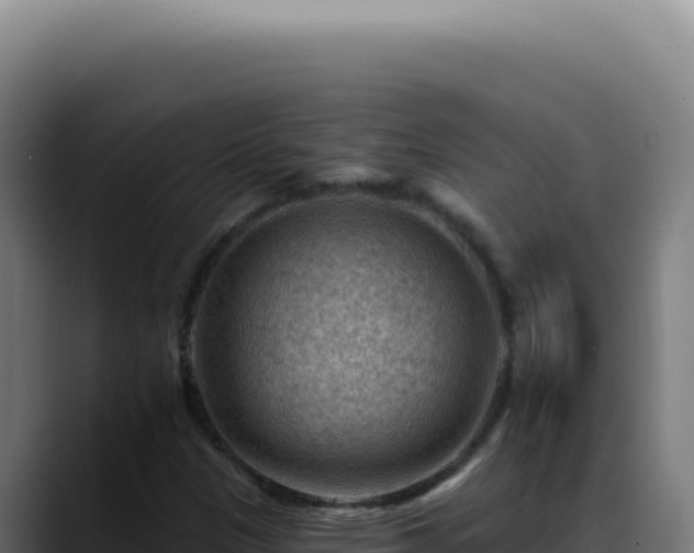 X0000088411305200705291441