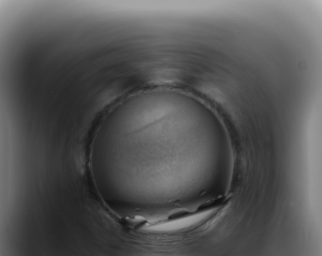 X0000088411306200705291441