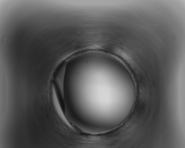 X0000088411308200705291441