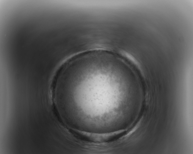 X0000088411310200705291441