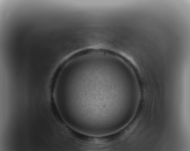 X0000088411311200705291441