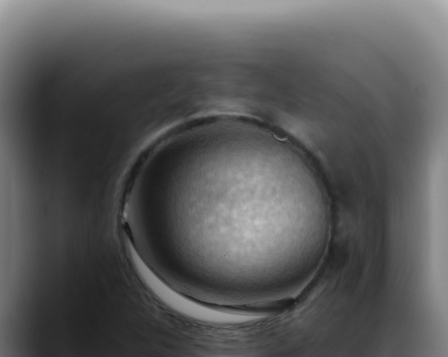 X0000088411312200705291441