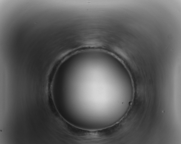 X0000088411315200705291441