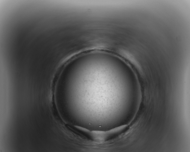 X0000088411316200705291441