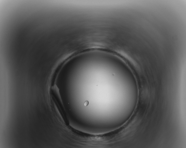 X0000088411317200705291441