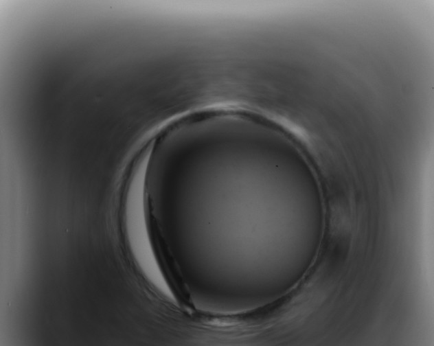 X0000088411319200705291441