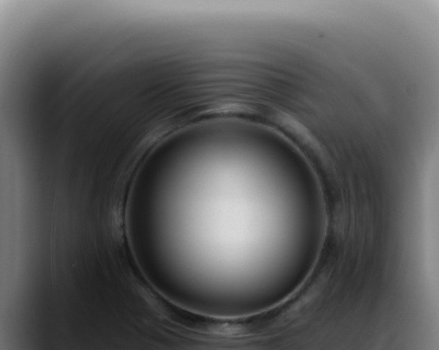 X0000088411321200705291441