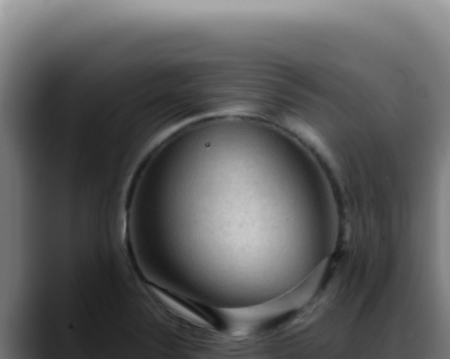 X0000088411324200705291441