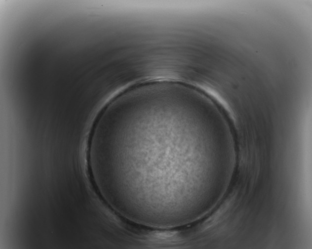 X0000088411325200705291441