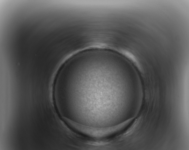 X0000088411326200705291441