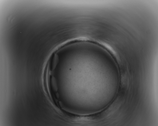 X0000088411327200705291441
