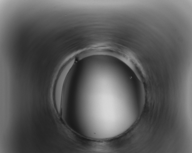X0000088411328200705291441