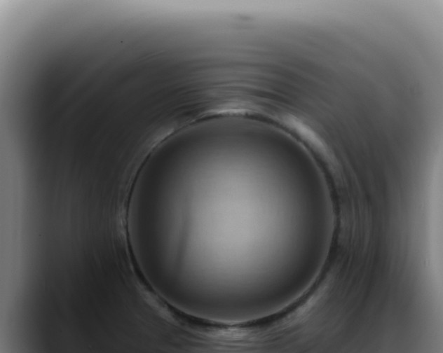 X0000088411329200705291441