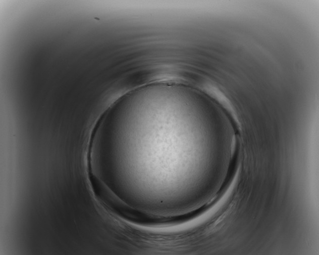 X0000088411330200705291441