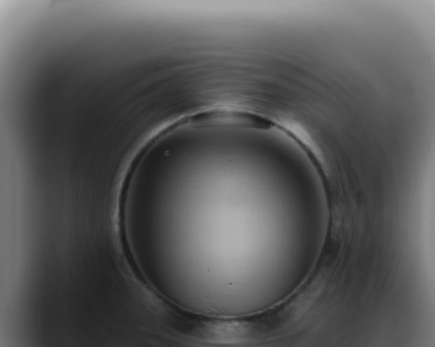 X0000088411331200705291441