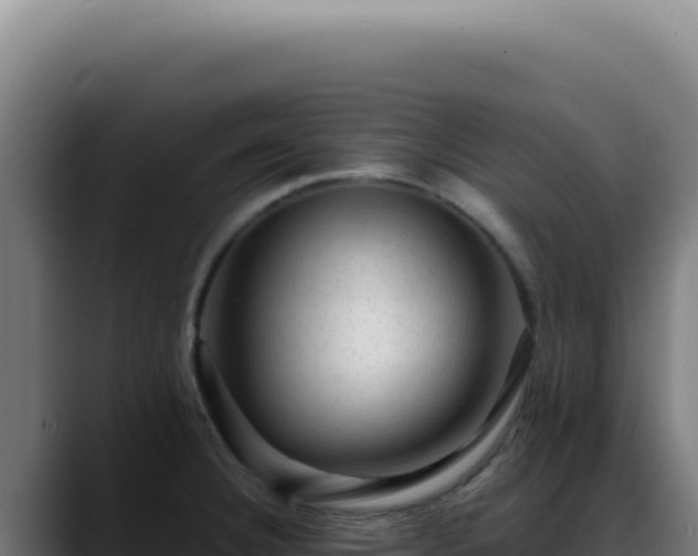 X0000088411332200705291441