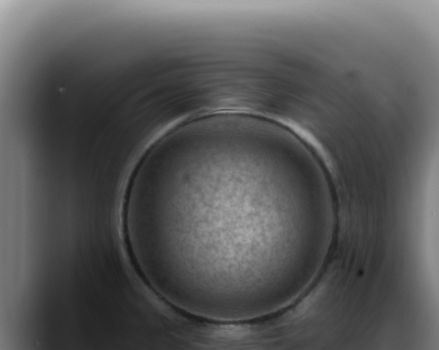 X0000088411333200705291441