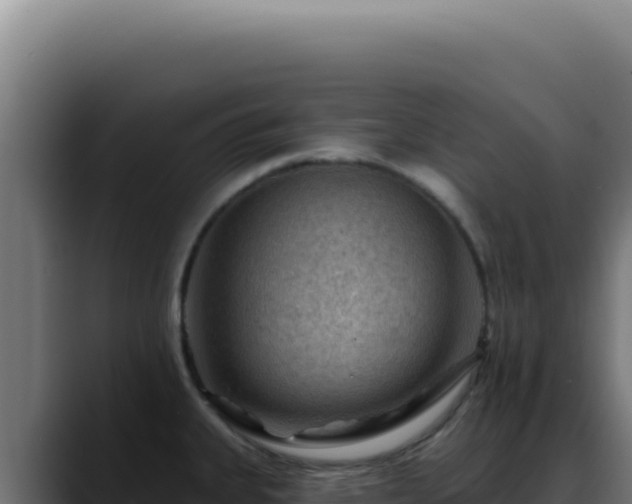 X0000088411335200705291441