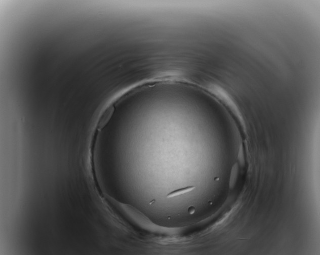 X0000088411336200705291441