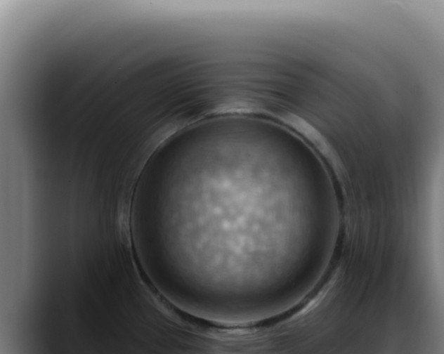 X0000088411337200705291441