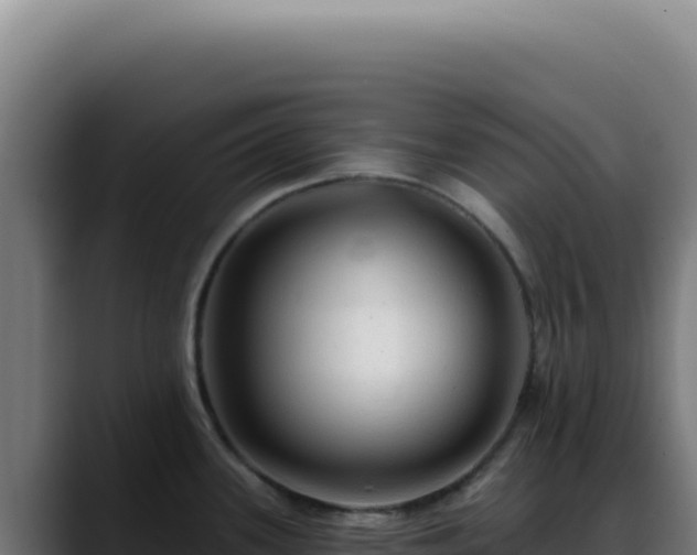 X0000088411339200705291441