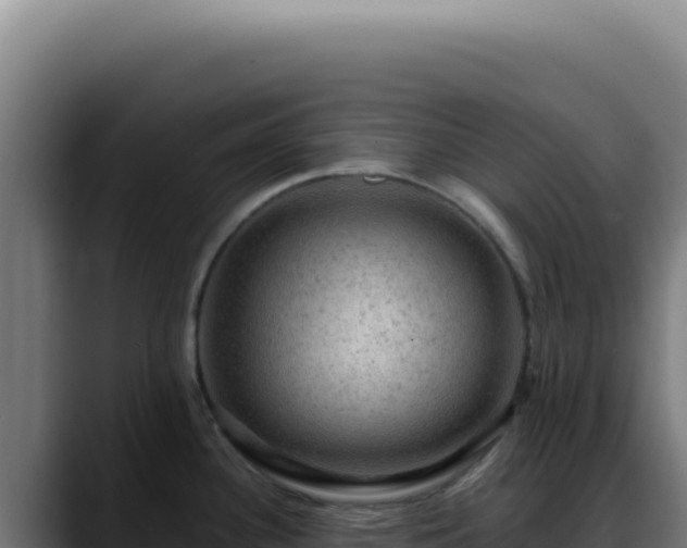 X0000088411340200705291441