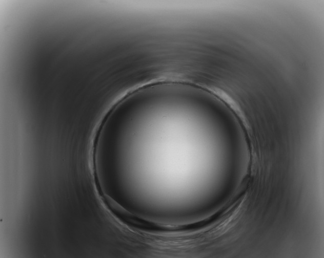 X0000088411342200705291441