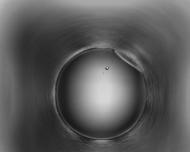 X0000088411343200705291441