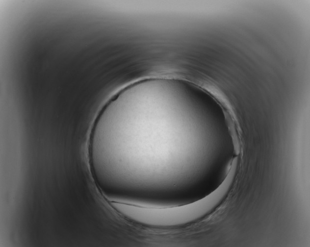 X0000088411344200705291441