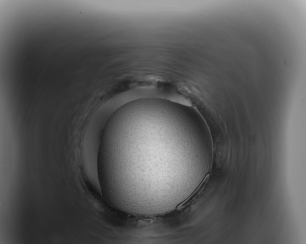 X0000088411345200705291441